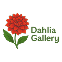 Dahlia Gallery